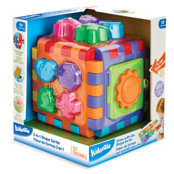 2-In-1 Shape Sorter